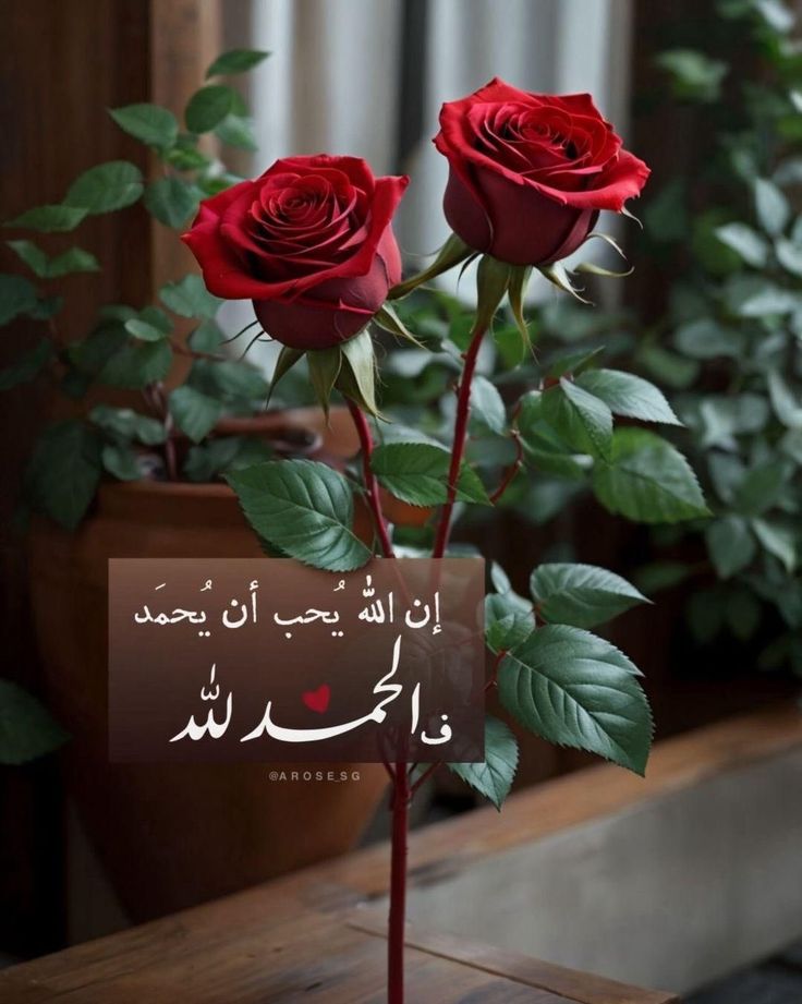 زاهر (@zhr1570560) on Twitter photo 