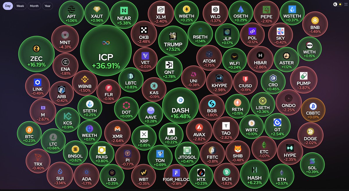 Castillo Trading tweet media