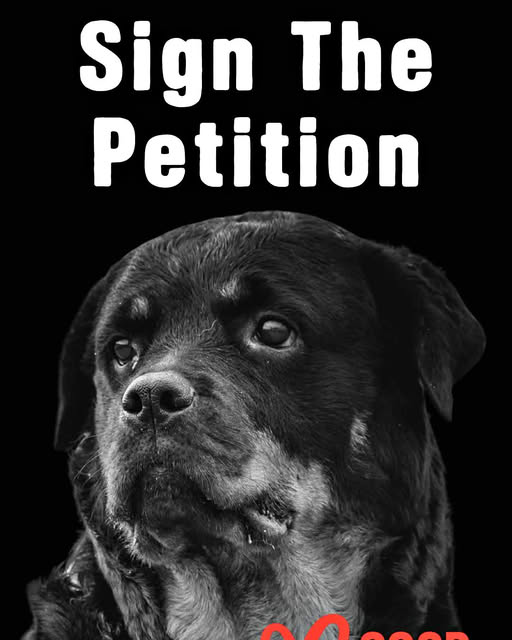 Every second a dog suffers in silence. Illegal dog fighting in South Africa destroys lives every single day, yet cases are underreported, underpoliced, &amp; too often ignored. Add your name &amp; demand that authorities enforce the Animals Protection Act (1962).
petition.goodcausecares.com/sa
