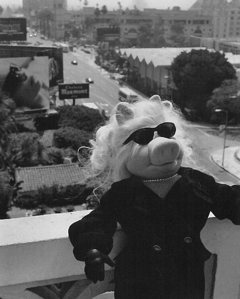 Muppet Pictures (@muppetpictures) on Twitter photo 