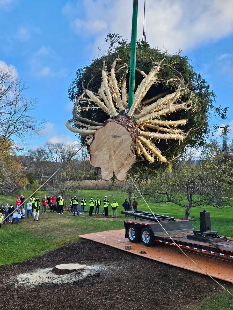 Steve Byk tweet media