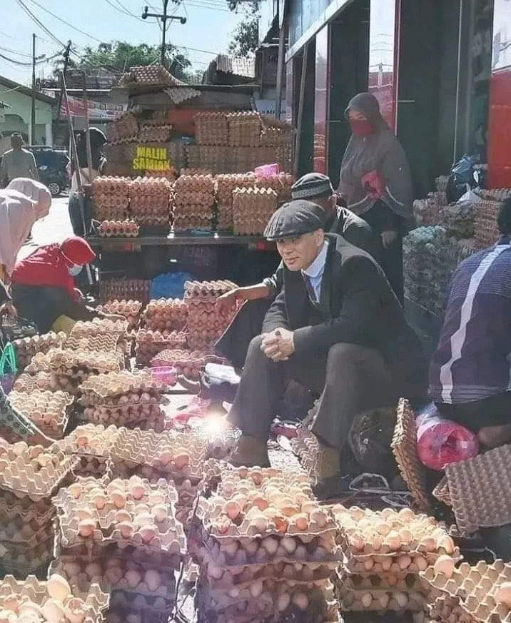 i bid good day to you lads

seeing as memecoins have not worked out i have pivoted to chickens

may i interest you in some fresh eggs?