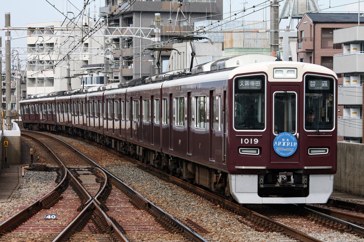 夏のみかん on X