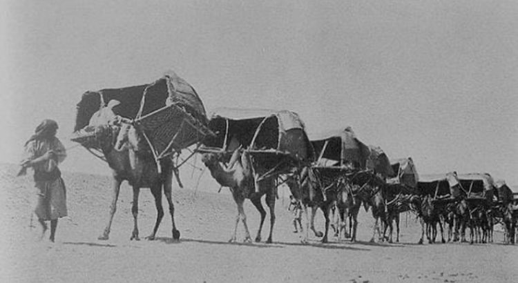 في الوقت الذي تسجل فيه #بريدة أدنى درجات الحرارة في المملكة (11°م)
يشد #أحفاد_العقيلات ركائبهم نحو الساحل الشرقي 
لمواجهة الفتح العنيد في معركة كروية منتظرة
٪90من سكان #القصيم يترقبون عشقهم #التعاون غدا  وكلهم أمل أن يظفر السكري بالنقاط الثلاث 
#مهمة صعبة لكن ليست #مستحيلة &lt;21💛&gt;