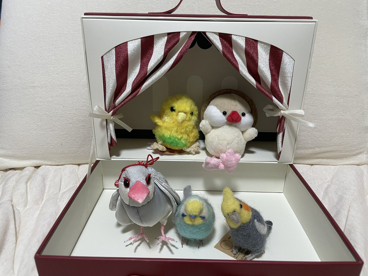 スリコのペーパートランクめっちゃいい‼︎