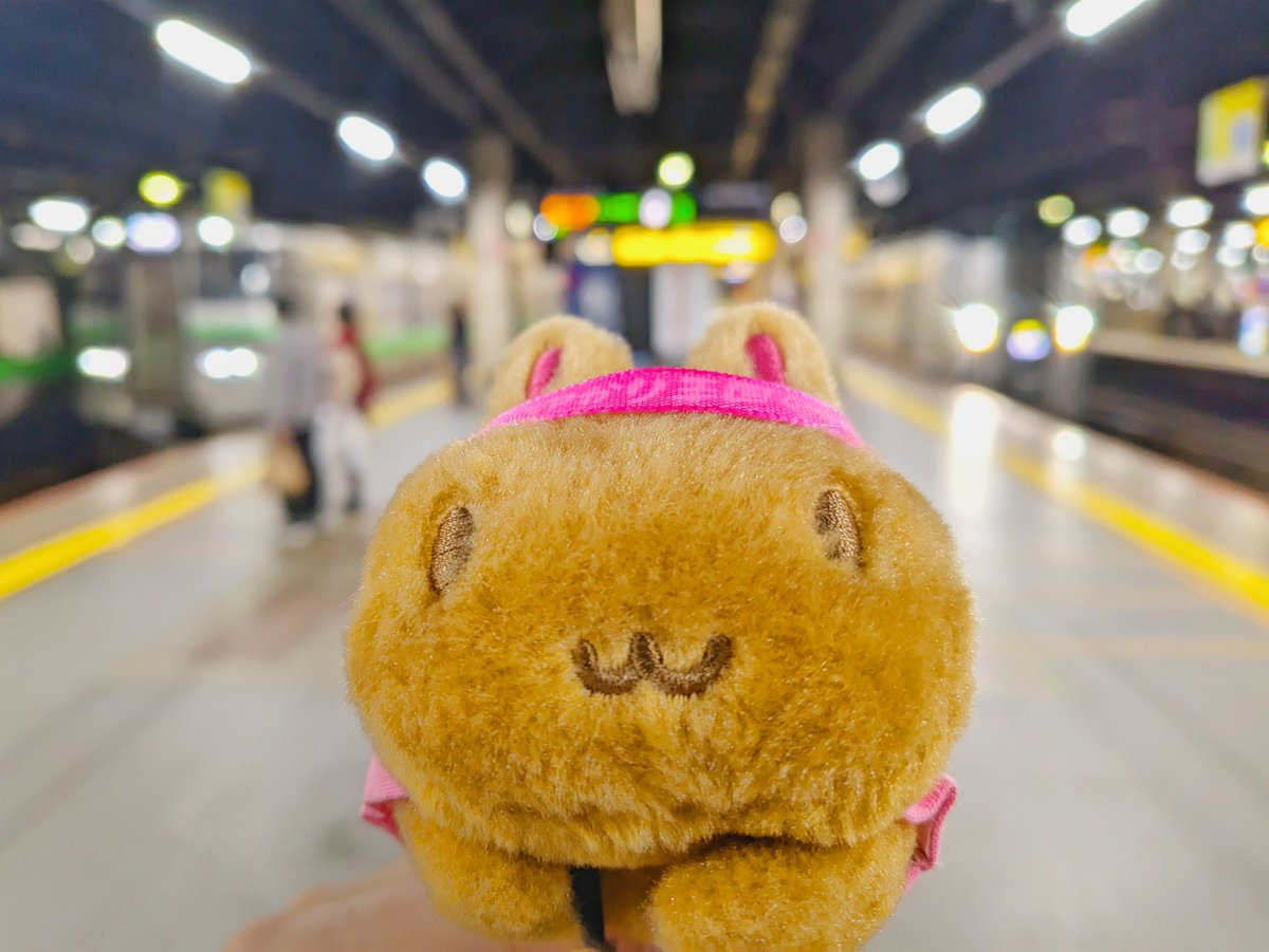 howayan46's tweet image. 【固定用】
車乗ったり、バイクでどこか行ったり、乗り物撮ったり、ゆかりんのライブに行ったりしてます！
ご興味ありましたらフォローしていってください✌