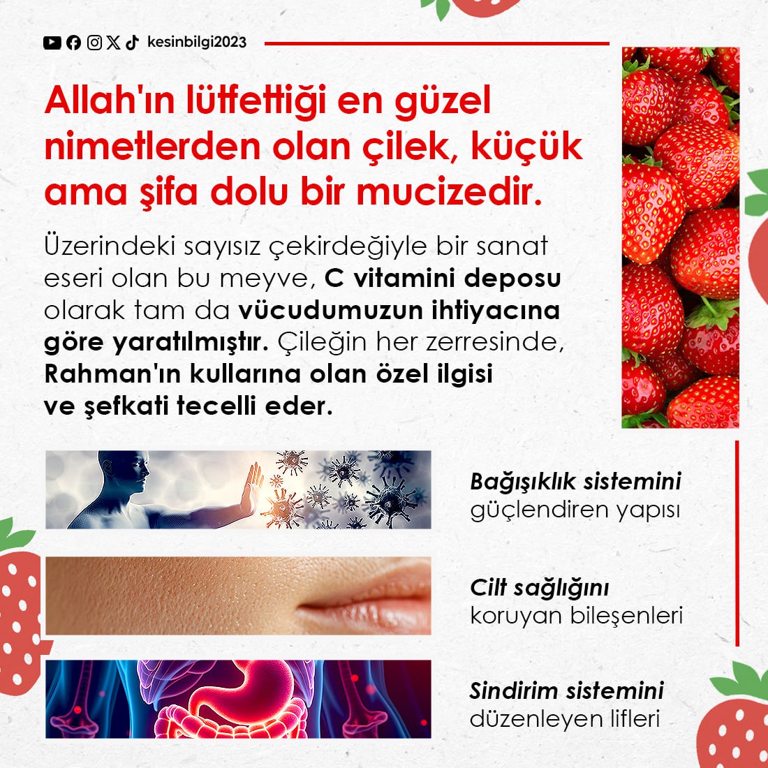 🍓🍓Allah'ın lütfettiği en güzel nimetlerden olan çilek, küçük ama şifa dolu bir mucizedir. Üzerindeki sayısız çekirdeğiyle bir sanat eseri olan bu meyve, C vitamini deposu olarak tam da vücudumuzun ihtiyacına göre yaratılmıştır. Çileğin her zerresinde, Rahman'ın kullarına olan