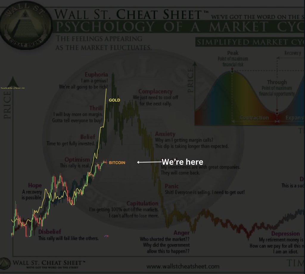 BITCOIN MAXI (@zeljopazin) on Twitter photo 