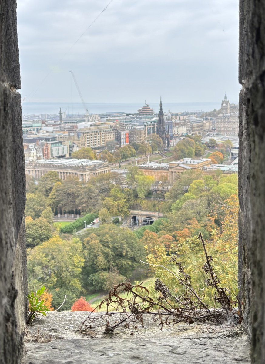 Alcoholic Guest tweet media