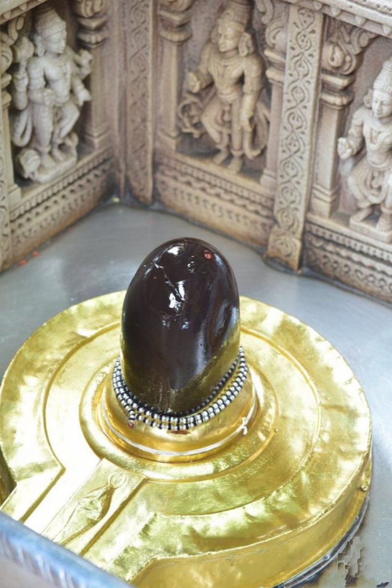 बाबा काशी विश्वनाथ महादेव के दिव्य दर्शन हर हर महादेव