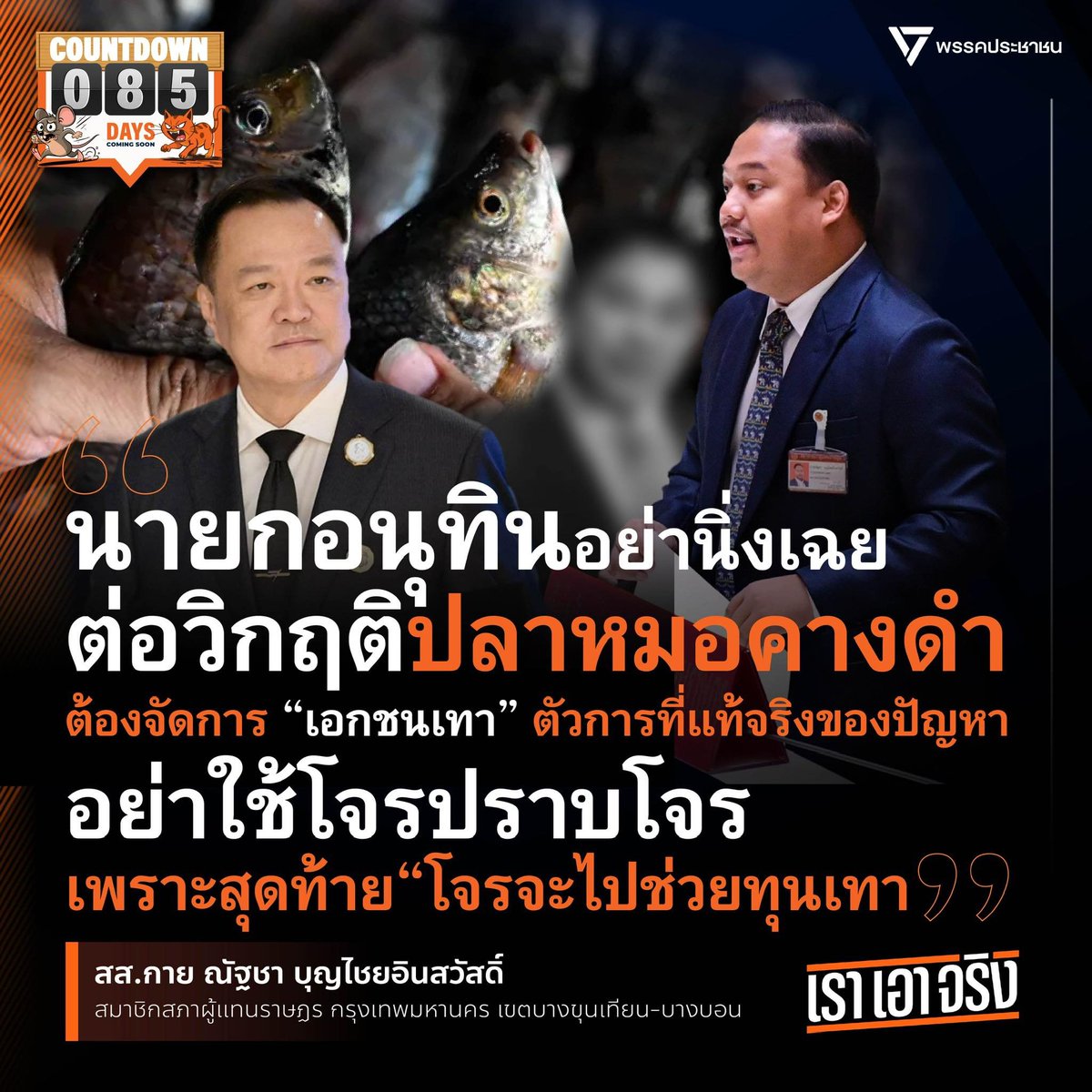 [ นายก“อนุทิน” อย่านิ่งเฉยต่อวิกฤติ #ปลาหมอคางดำ ต้องจัดการ “เอกชนเทา” ตัวการแท้จริงของปัญหา อย่าใช้โจรปราบโจร เพราะสุดท้ายโจรจะไปช่วยทุนเทา ]
.
วิกฤตปลาหมอคางดำไม่ใช่ภัยธรรมชาติ แต่เป็น หายนะที่เกิดจากการกระทำของมนุษย์