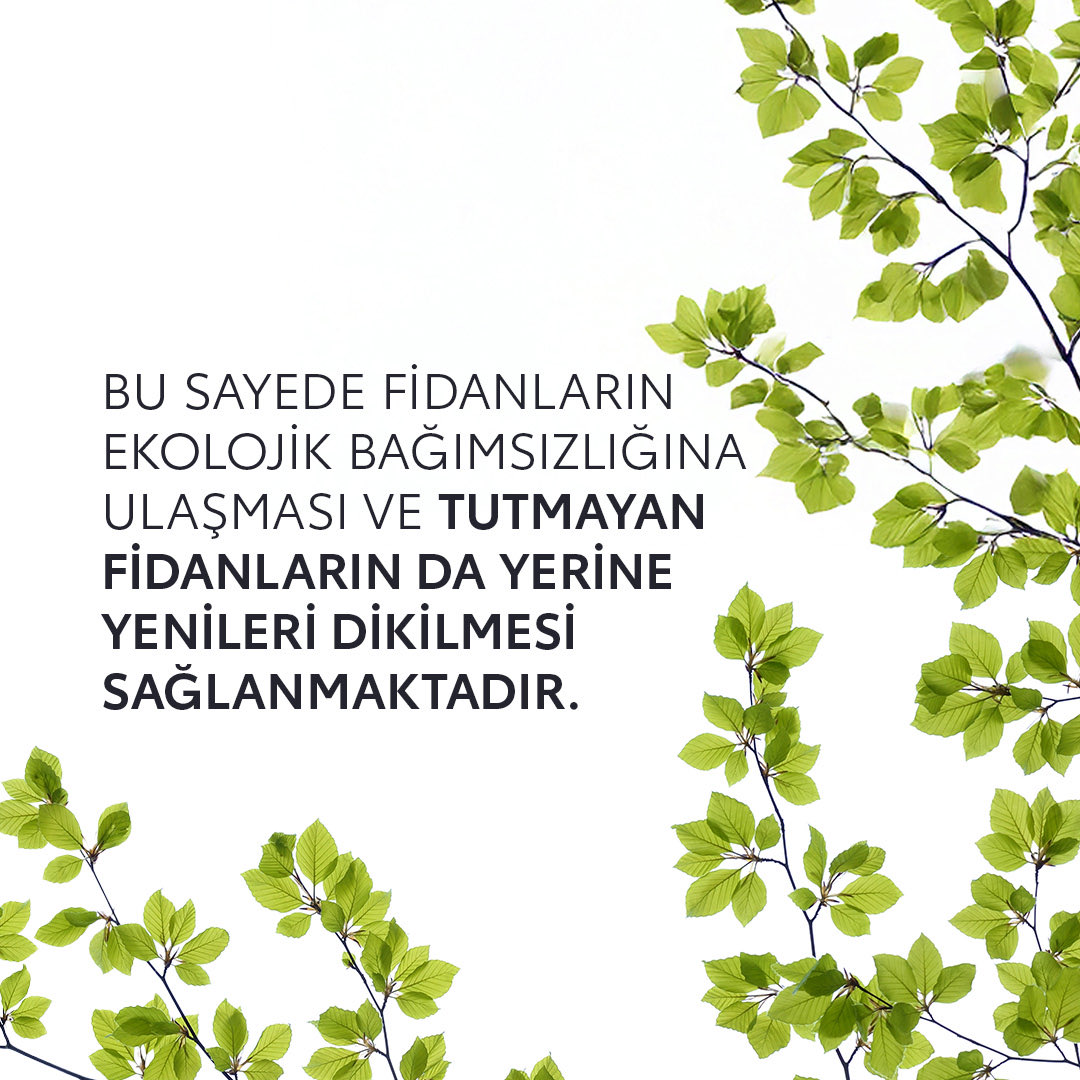 Diktiğimiz her fidanın sorumluluğunu üstleniyor, sürdürülebilir bir doğa için uzun vadeli adımlar atıyoruz. Yaşayan, büyüyen ve doğayla bütünleşen ormanlar için çalışıyoruz.
#toyota #AğaçlandırmaSeferberliği #1Araç10Ağaç