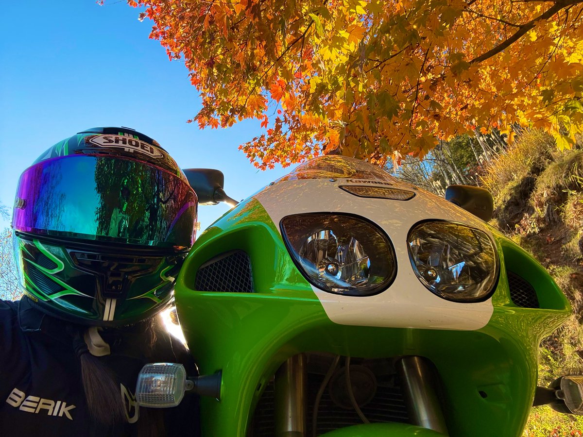 ✮ ɐ ʎ ɐ ✮🧄𝕄ℂ𝟙𝟟🫶🏻ℤ𝕏-𝟟ℝ ᐕ)ﾉ🍚 on X