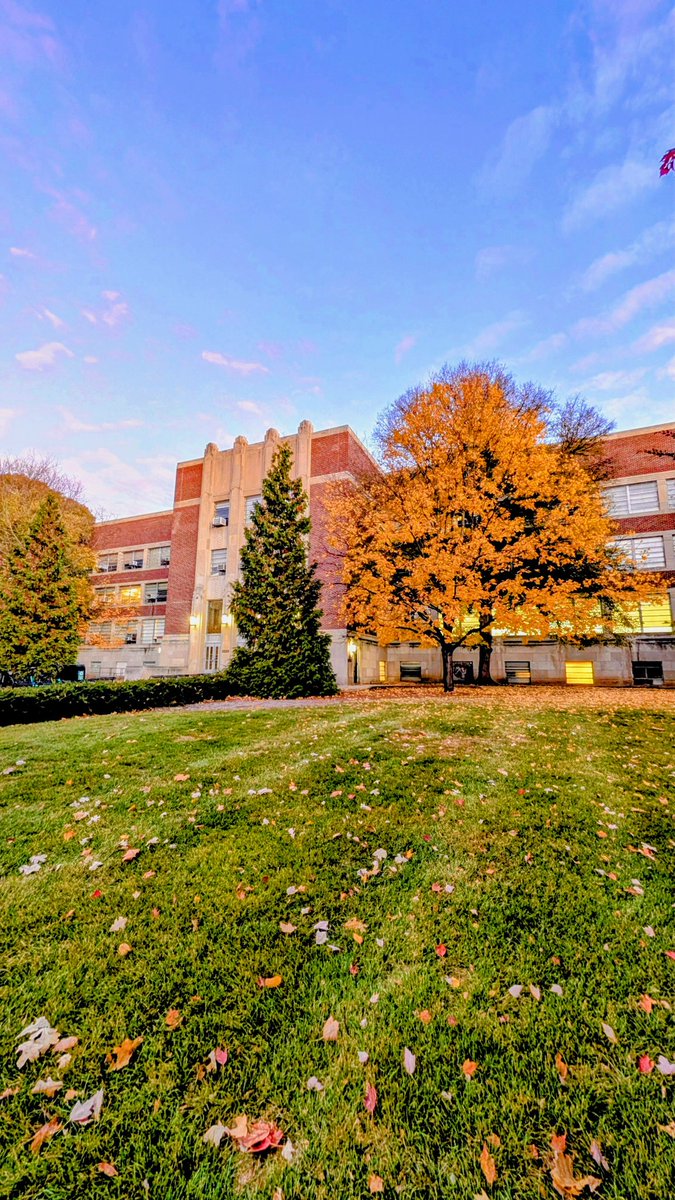 Purdue Univ Athletic Training tweet media