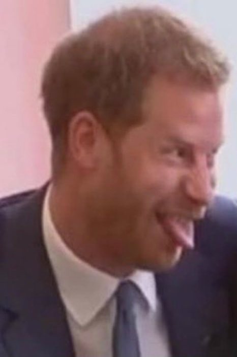 Prince Harry delivering a talk on his Worldwide Jealousy Tour.