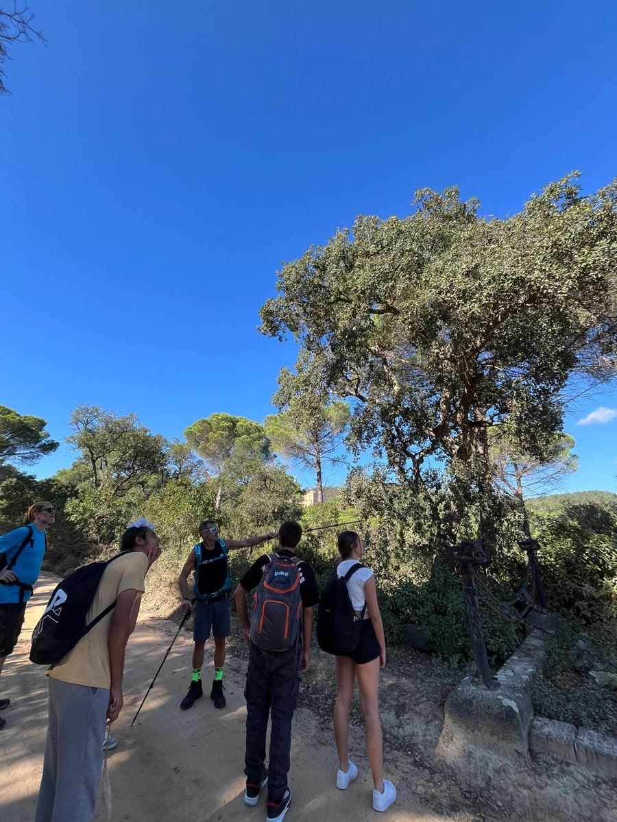 Primera caminada saludable de 4t d’ESO! 🚶‍🚶‍agora.xtec.cat/iesramoncoll/g…