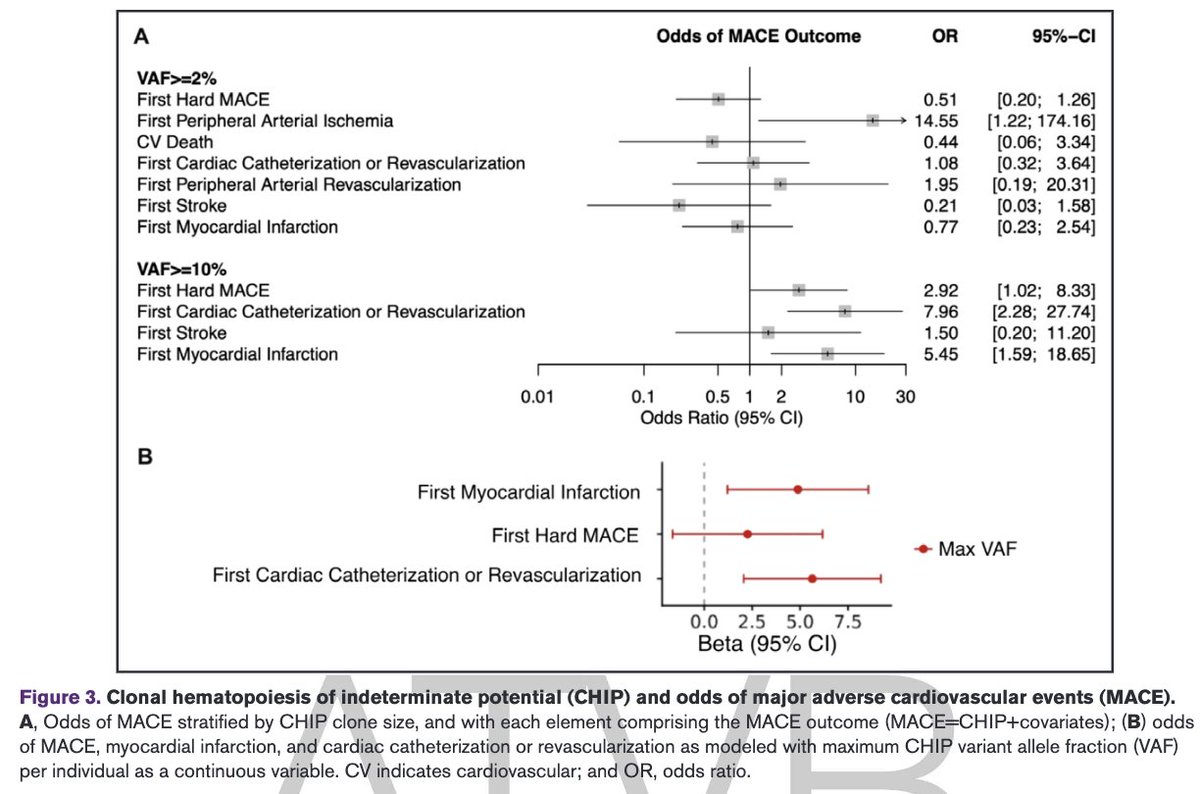 Our study led by <a href="/ArielXue1/">Ariel Xue</a> &amp; R. Bhattacharya, using targeted sequencing in the REPRIEVE clinical trial, shows that nearly 1 in 5 early middle-aged (mean 50y) adults living the HIV at low clinical cardiovascular risk have mutations indicative of clonal hematopoiesis.