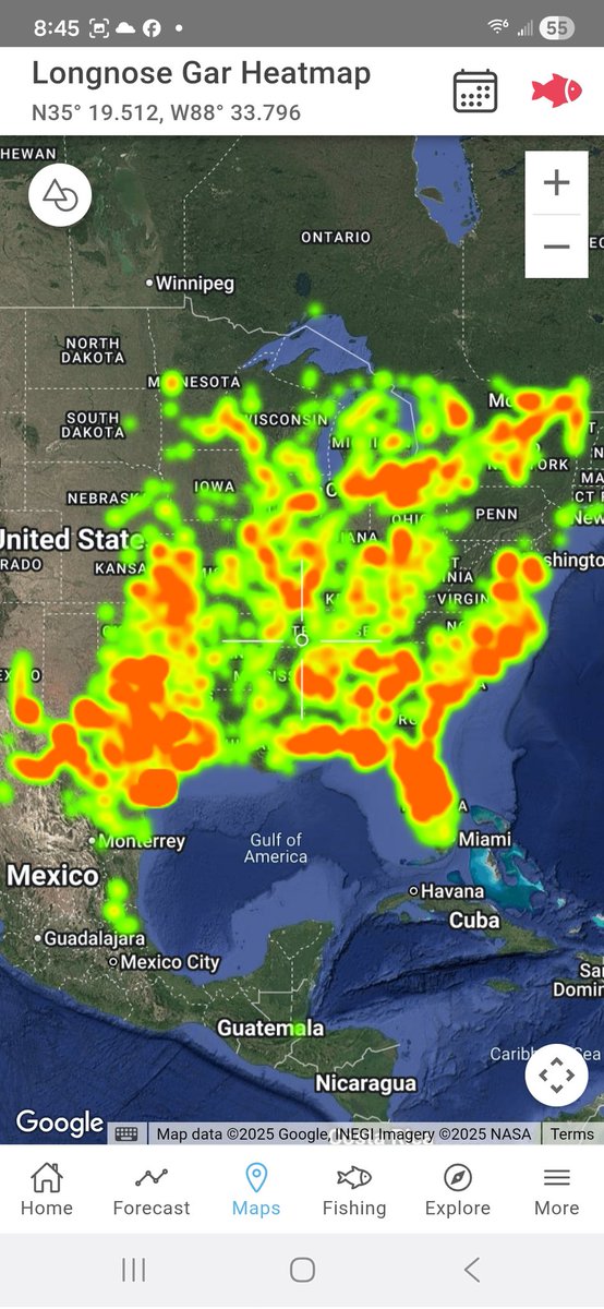 FishingStatus's tweet image. Lots of Gar in our state. Always fun to catch a swamp marlin. @OKWildlifeDept #garweek #longnose #gar