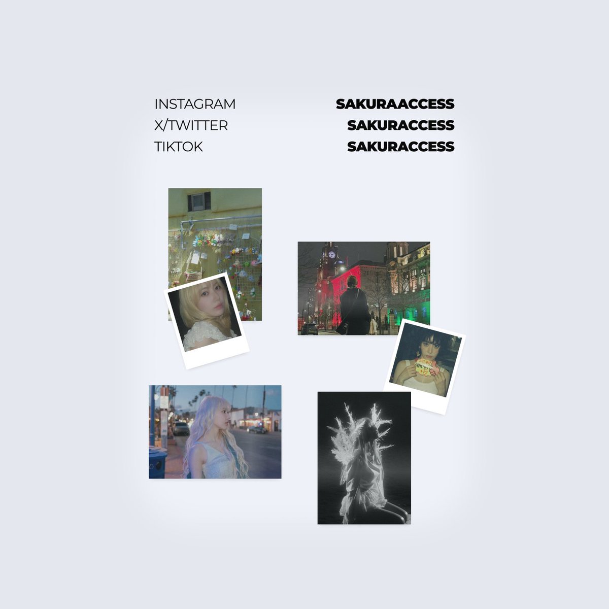 SAKURA Access tweet media