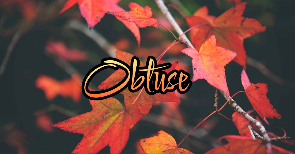 11–6 Word: Obtuse

Please tag #366FF

Monthly optional theme: Absurdity 

Combo prompts are welcomed.

Must contain at least one of the prompt and/or theme words—or the correct use of the definition.

Have fun!!

#writingprompt #writingcommunity #poetry #prompt