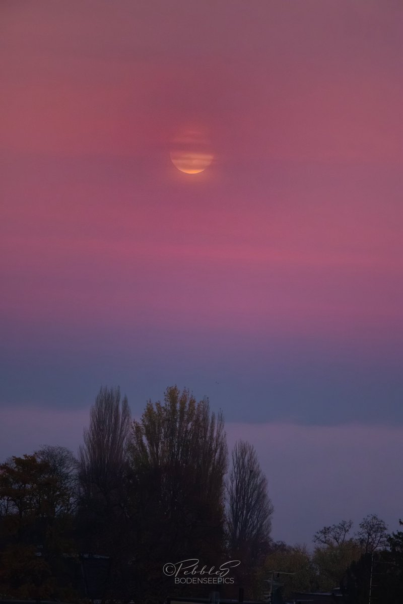 Mystic night.
Fog over the lake, moon dim behind a purple veil.
Everything quiet, almost unreal.