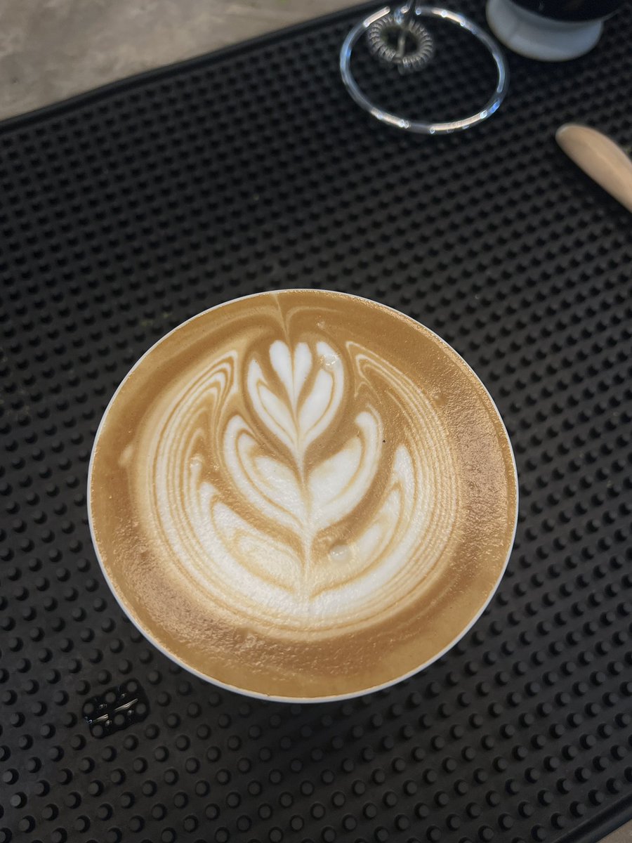 观in put萨 tweet media