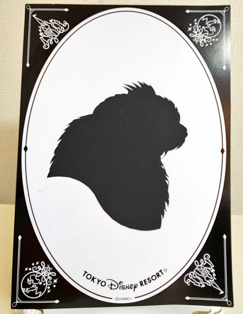 しぃちゃん☆ on X