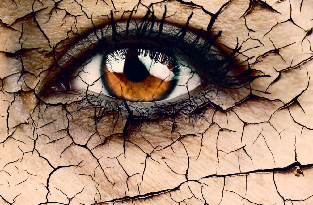 All About Vision tweet media