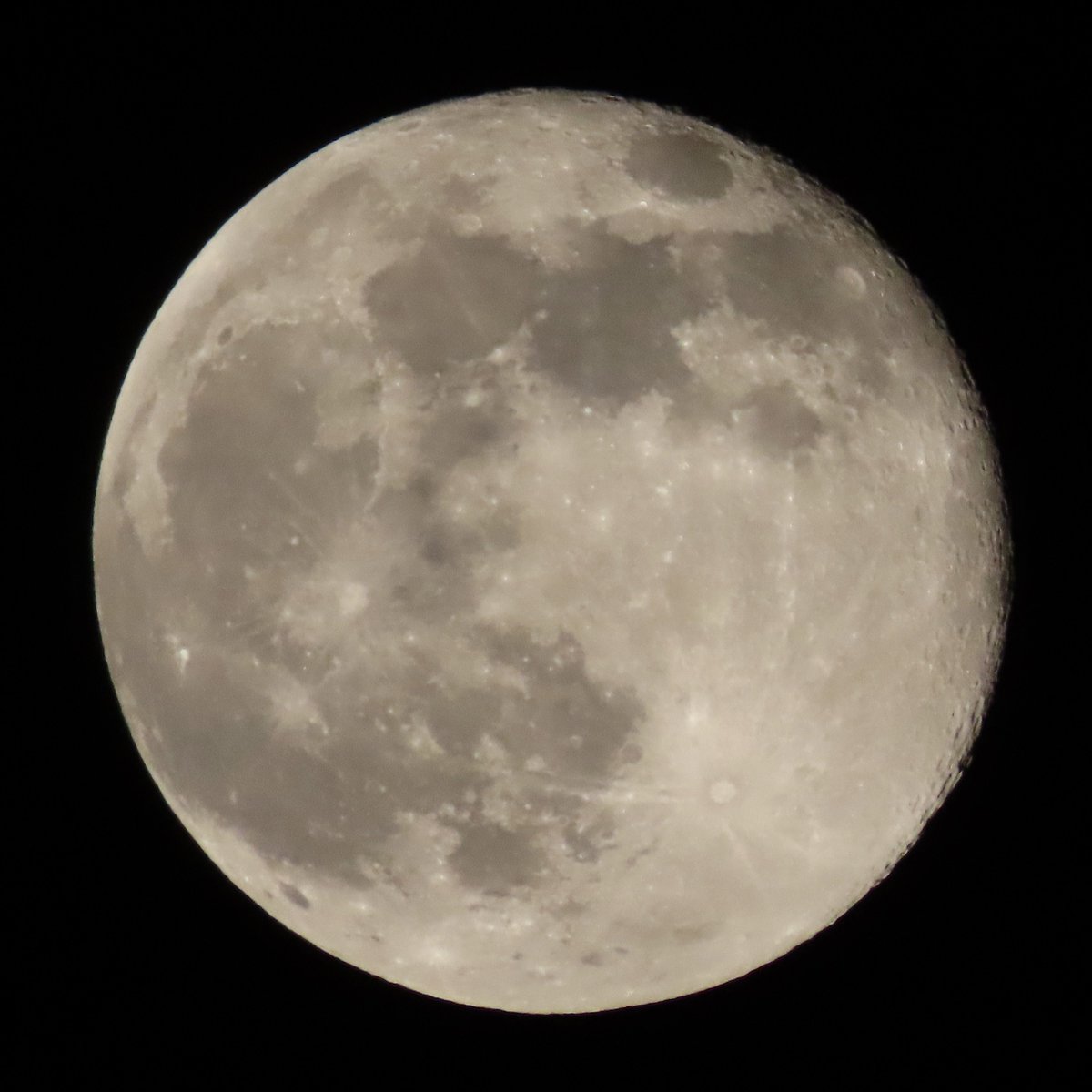 ほんとーは昨日が満月日だったんですが生憎の天気だったんで、今日さっき仕事から帰ってすぐにベランダ出てシャッター切りましたー。右端がちょっと陰ってるんでクレーターが見やすくなってるザンスよ。お好きな方は是非。それではグンナーイ。
#月
#moon