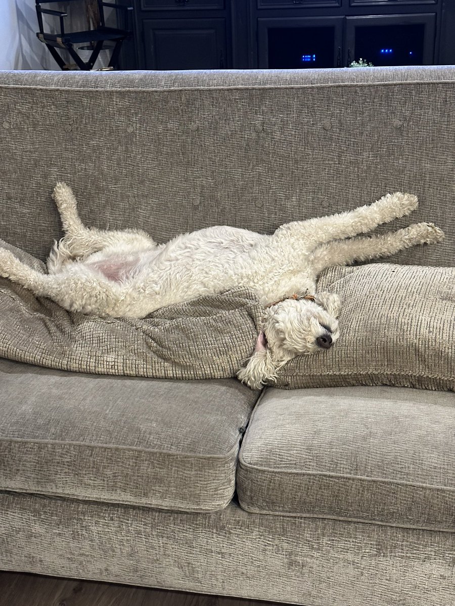 Jason Moore tweet media