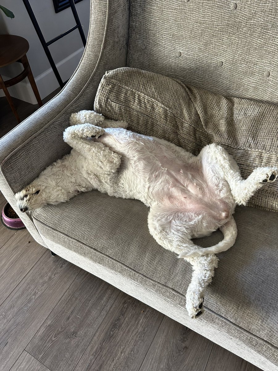 Jason Moore tweet media