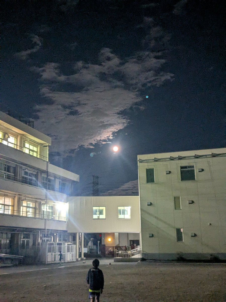 あきらこ CONVERSE ALL STAR BOARDERSTAR OX / SHINYAKOZUKA｜BILLY'S ENT