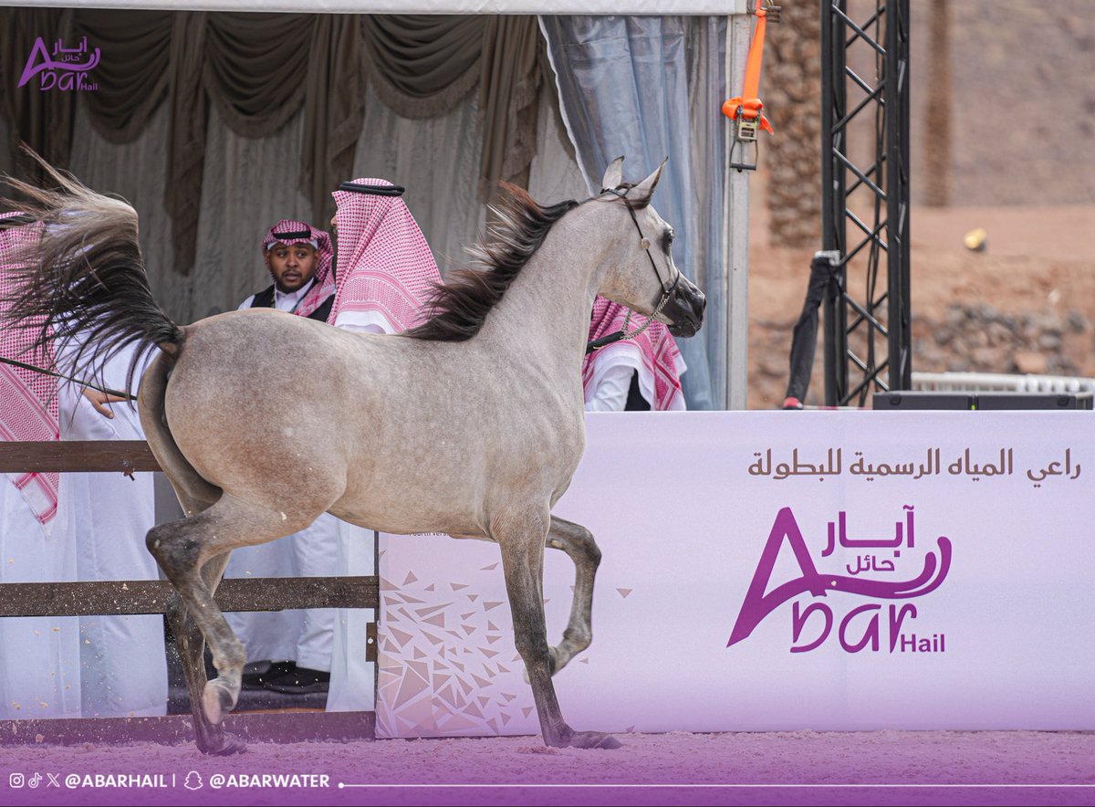 AbarHail's tweet image. من أعماق الآبـار إلى ميادين الخيل
نصنع الفـرق بشغفٍ وأصالـه 🐎✨

#آبار_حائل
#بطولة_حائل_الدولية_لجمال_الخيل