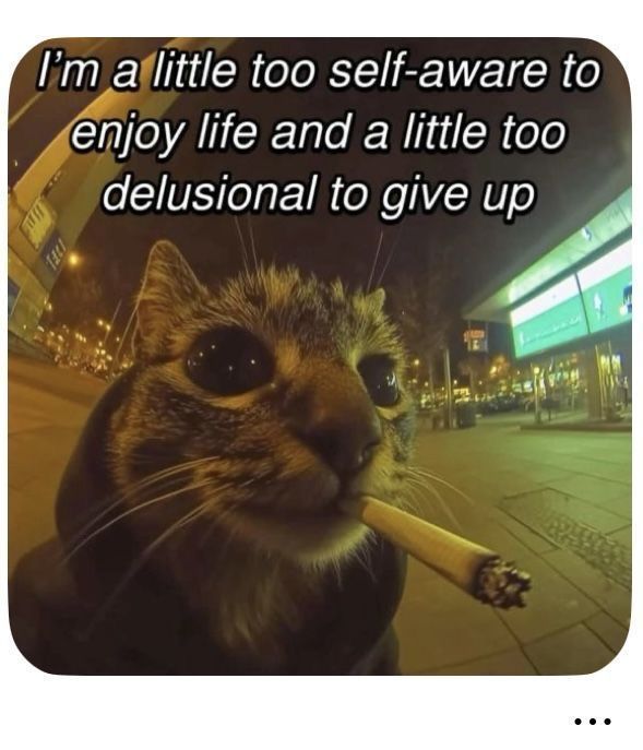 Syein || Pre Debut (June??) || Snow Leopard VTuber (@_insyein) on Twitter photo 