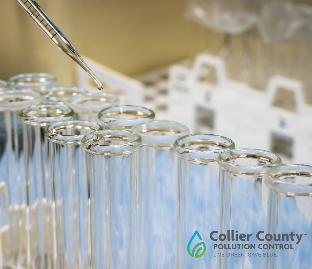 Each day, #CollierCounty Pollution Control tests surface and groundwater samples collected throughout the county to monitor water quality and identify and eliminate pollutant sources. 🧫🔬🥼

collier.gov/County-Develop…

#LiveGreenSaveBlue livegreensaveblue.com