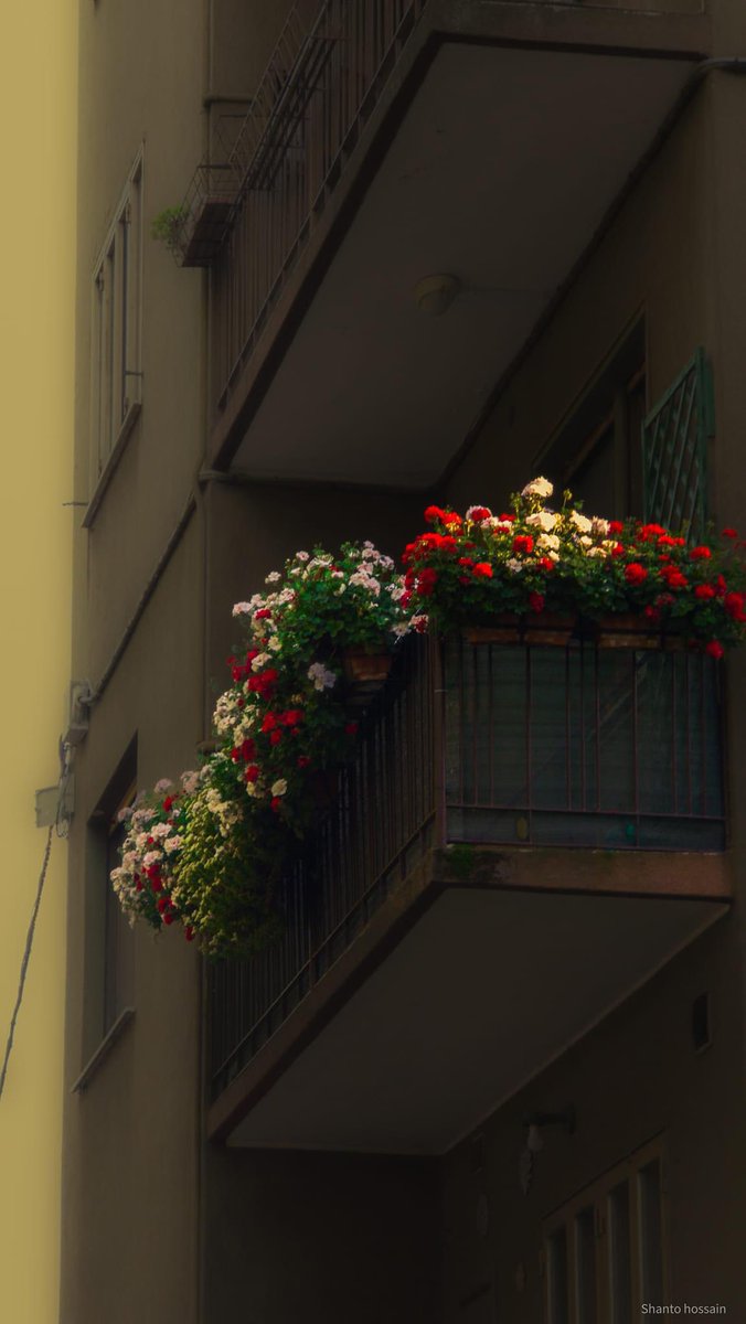 İsmet Özel (@guldesolar) on Twitter photo 