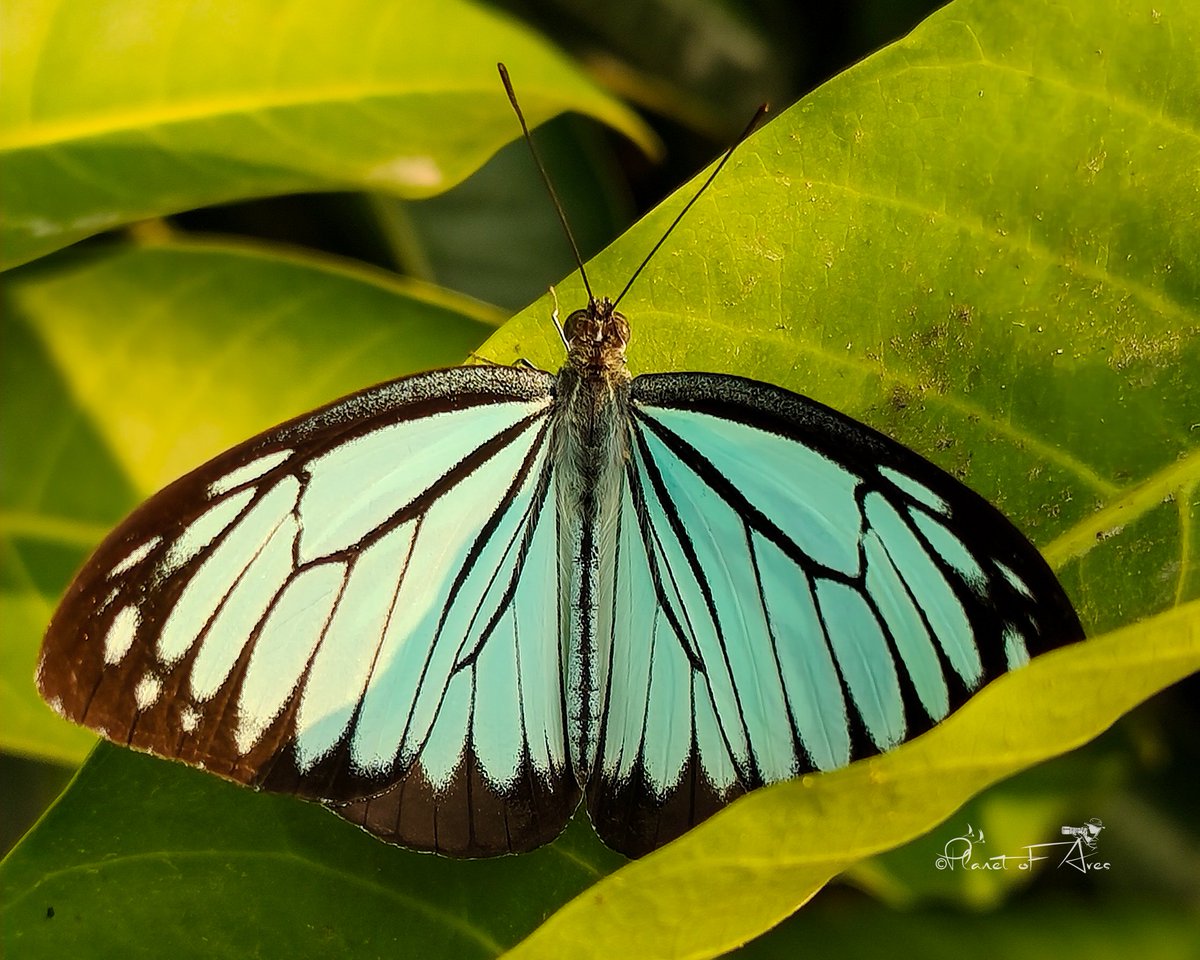 Vivek Raghuvanshi tweet media