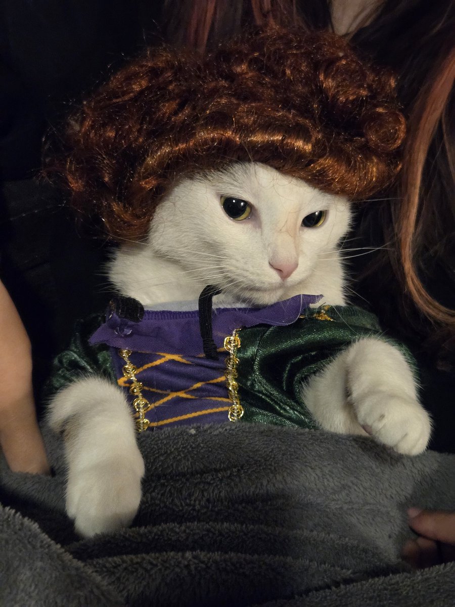 I do believe Toby the cat was thoroughly unimpressed, being one of the Sanderson sisters for Halloween lol.