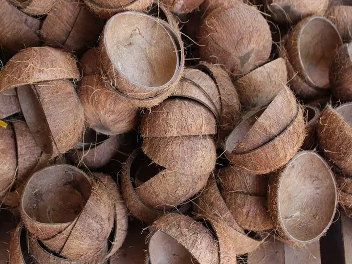 VSF202's tweet image. 🌿 Coconut Shell Powder – Sustainable industrial filler.
Size: whole half‑piece &amp;amp; broken small pieces | Pack: 18 t/20′ container or 28 t/40′ container | Delivery 7‑10 days.
📩Nora -  export5@vietseafarm.com.vn
 | +84 964 279 454
#CoconutShell#IndustrialFiller#VietSeafarm