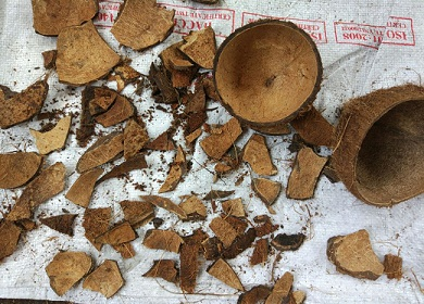 VSF202's tweet image. 🌿 Coconut Shell Powder – Sustainable industrial filler.
Size: whole half‑piece &amp;amp; broken small pieces | Pack: 18 t/20′ container or 28 t/40′ container | Delivery 7‑10 days.
📩Nora -  export5@vietseafarm.com.vn
 | +84 964 279 454
#CoconutShell#IndustrialFiller#VietSeafarm