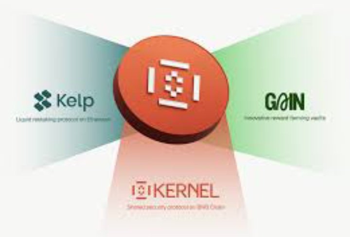 _Shes1's tweet image. $KERNEL functions as the central coordination asset within the KernelDAO ecosystem.
It unifies Kelp LRT, the Restaking Infrastructure, and Gain, enabling shared governance, consistent incentives,&amp;amp; aligned value capture across all protocol layers.
#KERNEL #KernelDAO #DeFi #patlama