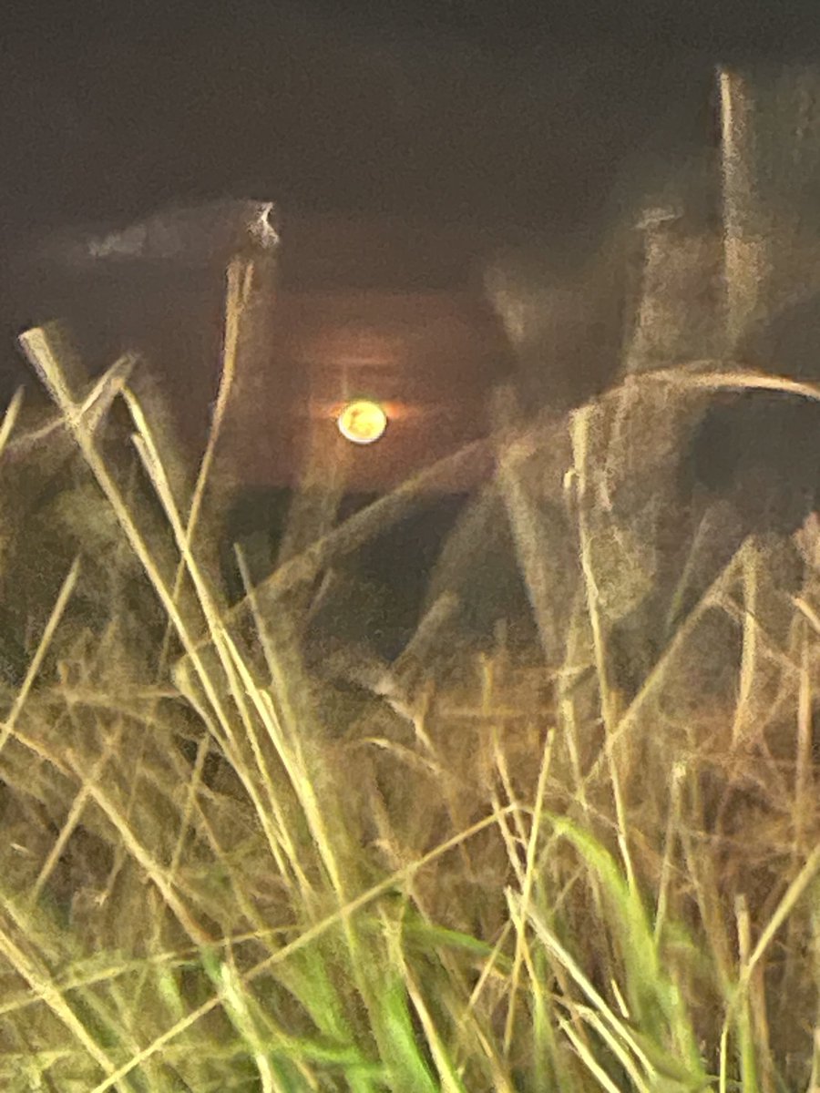 Cool moon tonight :-)