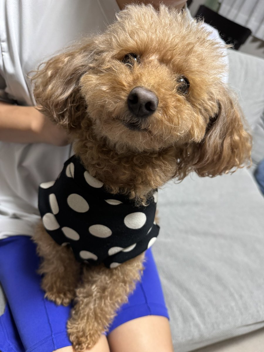 本日の作品。大きめドットがナウイ‼️