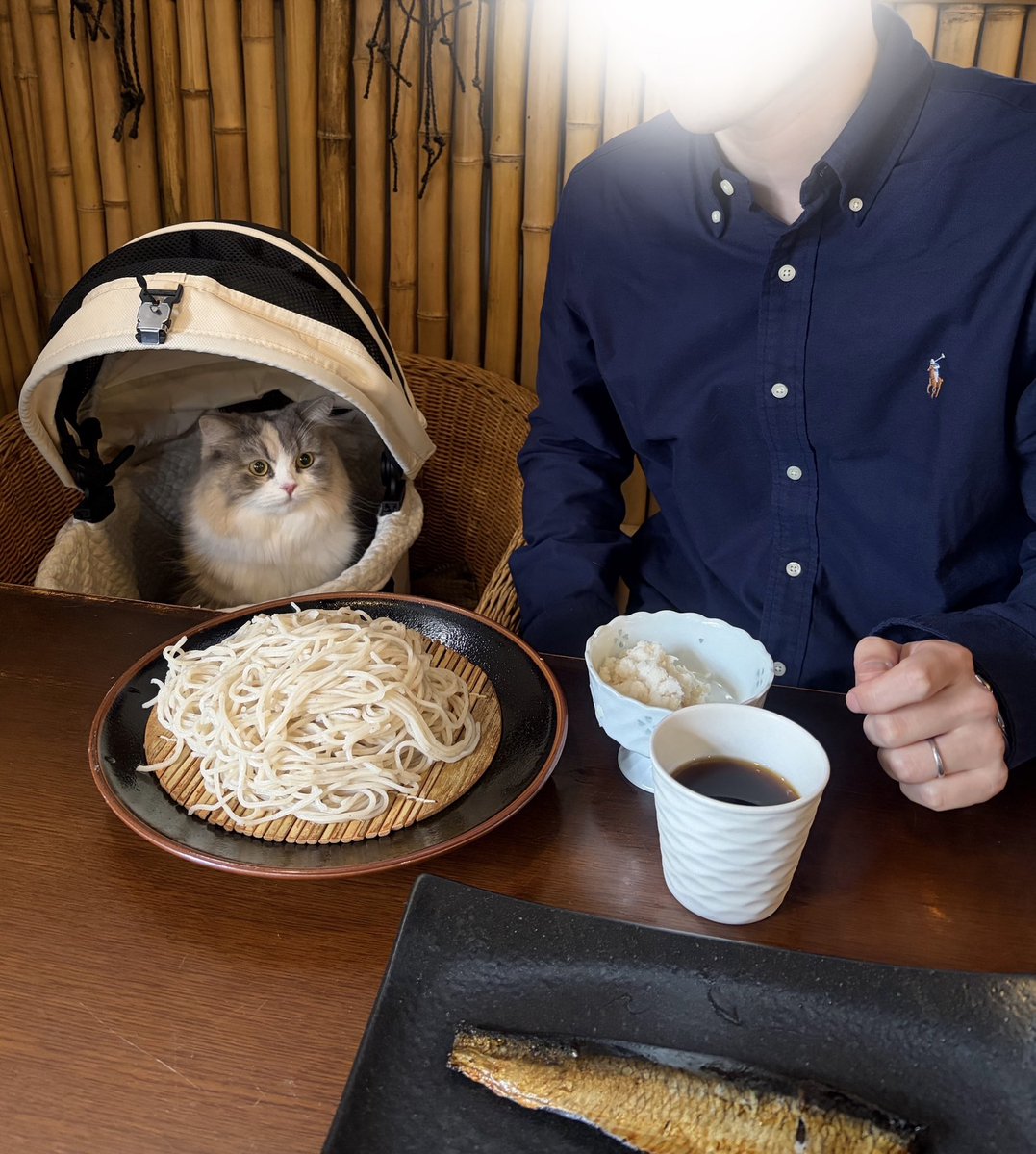 kurumi_sco's tweet photo. 那須は猫ちゃんと一緒に過ごせるお店が多くて、とってもいいとこだった👍✨ https://t.co/shaIuiWF6a