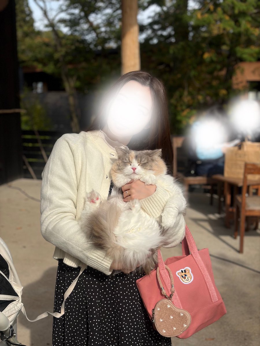 kurumi_sco's tweet photo. 那須は猫ちゃんと一緒に過ごせるお店が多くて、とってもいいとこだった👍✨ https://t.co/shaIuiWF6a