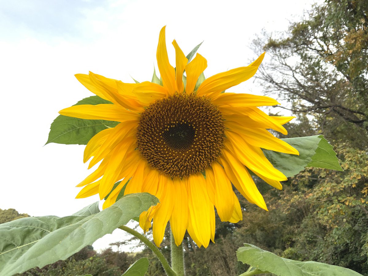 常吉（ツネキチ）🎣 (@naruchi0326) / Posts / X