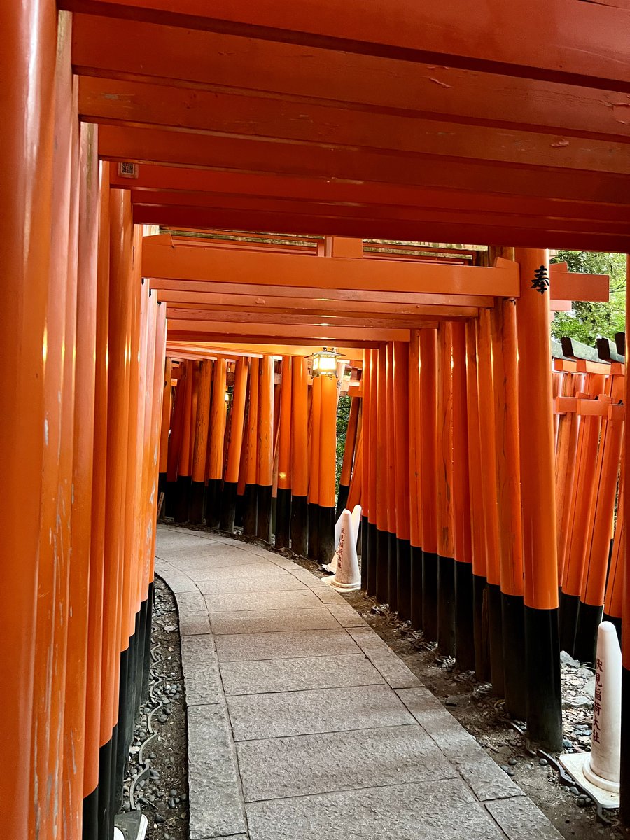 ヨウハ@個人お嬢様 on X