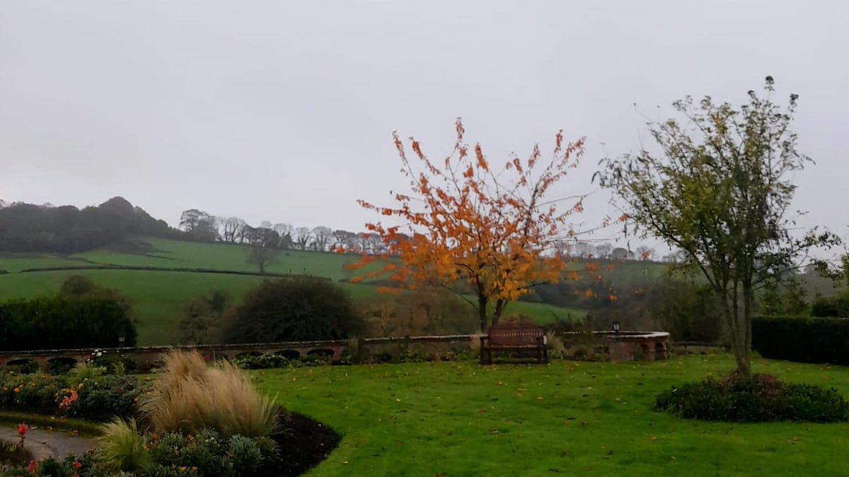 Autumn vibes at <a href="/harcombehouse/">HarcombeHouseHols</a> this morning. <a href="/firefighters999/">Fire Fighters Charity</a>