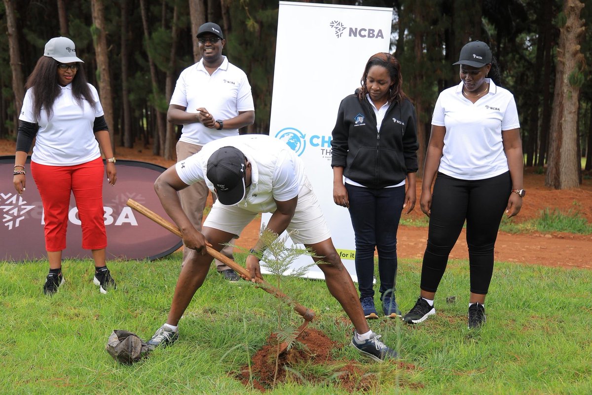 My Tree Initiative Organization tweet media