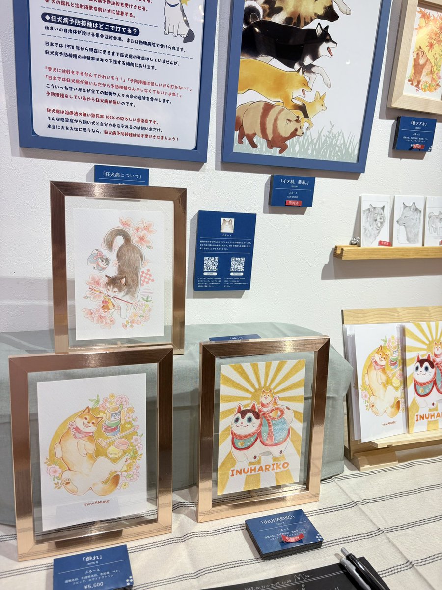 たぬきちページ どどどぽんぽこのタヌキ探し (@dddtanuki) / Posts / X